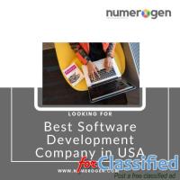 Hiring The Best Custom Software Development Company Services in The USA