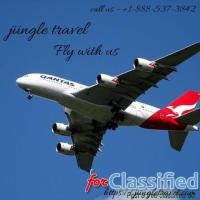 Best ways to get your flight booking with jiingle travel