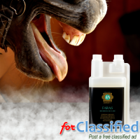 Horse Feeding Supplements: The Natural Solution for Horse Coughs - FARAS BIO BRONCHO CARE