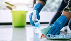 Carpet Cleaning Miami