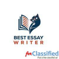 Best Essay Writer