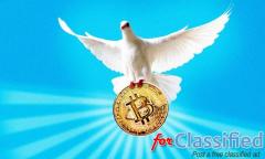Bitcoin Extractor