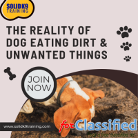 Exploring the Reality of Dog Eating Dirt & Unwanted Things