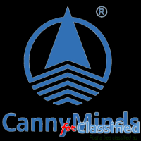 IT Solution Services   |CannyMinds Technology Solution