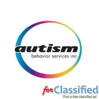 Social Skills in Autism Los Angeles