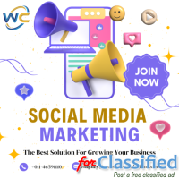 Best Social Media Marketing Services in Delhi by Webcrowd Solutions