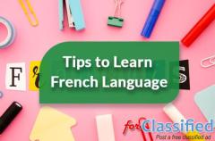 french c2 level online
