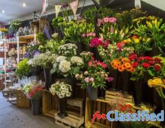 Faux Floral Arrangements
