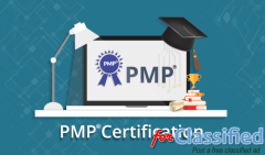Why Should You Take a PMP Course in 2024