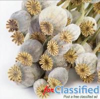 Unwashed Poppy Seeds
