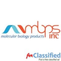 MBP INC
