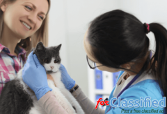 LalliCare Pharmacy | Drug Store Victoria