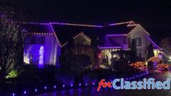 BlueHopper Permanent Outdoor Lighting – The Smart Choice!