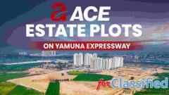 Ace Estate Plots Yamuna Expressway | The Nestory