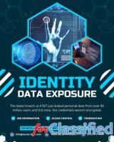 Accel DNA Data, Analytics & AI Talent Solutions