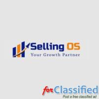 Grow Your Sales with Professional eBay Account Management Services – Selling OS