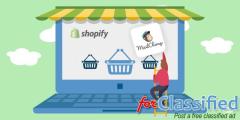 Shopify PPC Agency