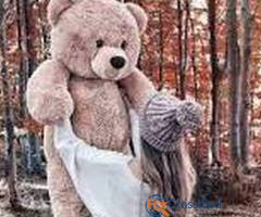 Teddy Bear Dubai –  Teddy Bears & Flower Gifts Delivery in Dubai