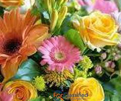 Teddy Bear Dubai –  Teddy Bears & Flower Gifts Delivery in Dubai