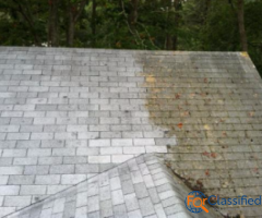 Tile Roof Cleaning