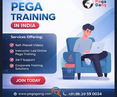 Pega Training in India – Online Expert Sessions