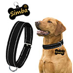 Dog Collars, Beds, and Accessories